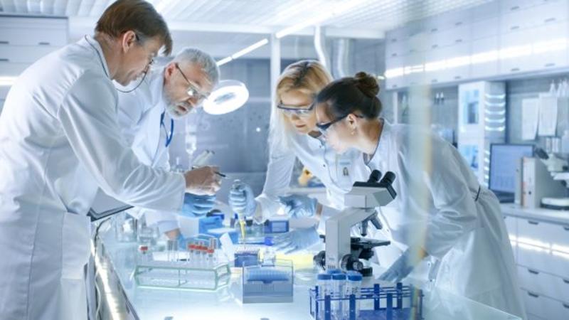 Lab Workers Lab Workers