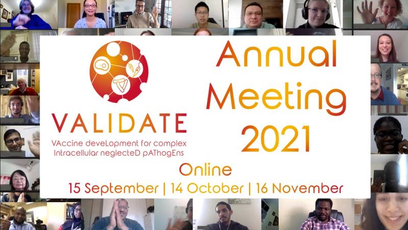 Annual Meeting 2021