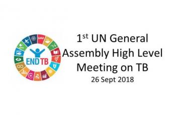 1st UN General Assembly High Level Meeting on tuberculosis