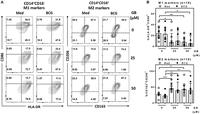 Glibenclamide reduces primary human monocyte functions against tuberculosis infection